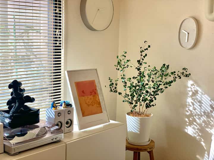 A corner of the room from a while ago 🪴☀️
The shadows of the plants that reflect the light are lovely
#IKEA #BESTA #植物インテリア #賃貸マンション #ナチュラルインテリア