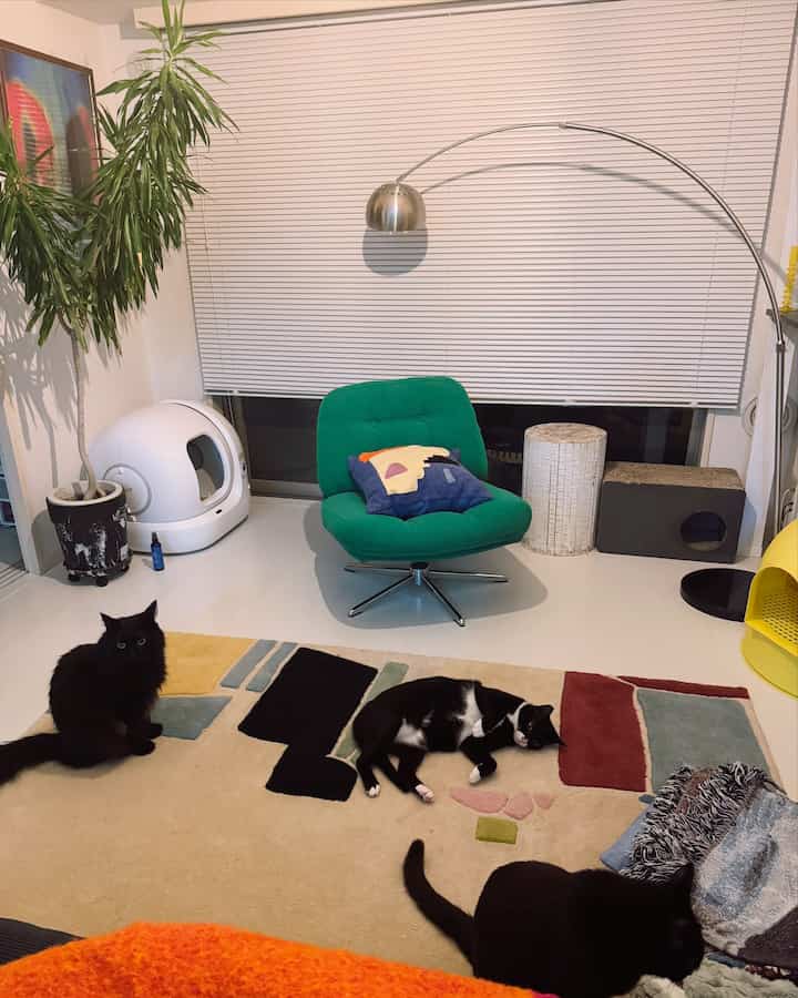 A cozy living room with white floors and blinds, a green armchair, and a patterned rug featuring several cats and pet furniture