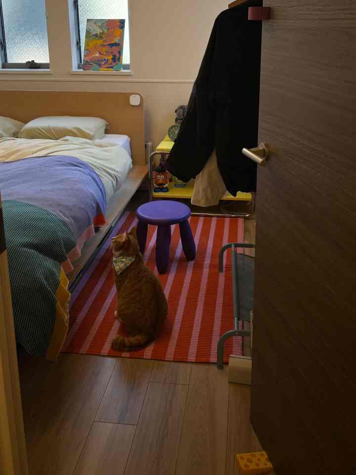 ベージュの壁とベッド、オレンジのストライプラグの上に座る猫と紫のスツールが配置された温かみのある寝室