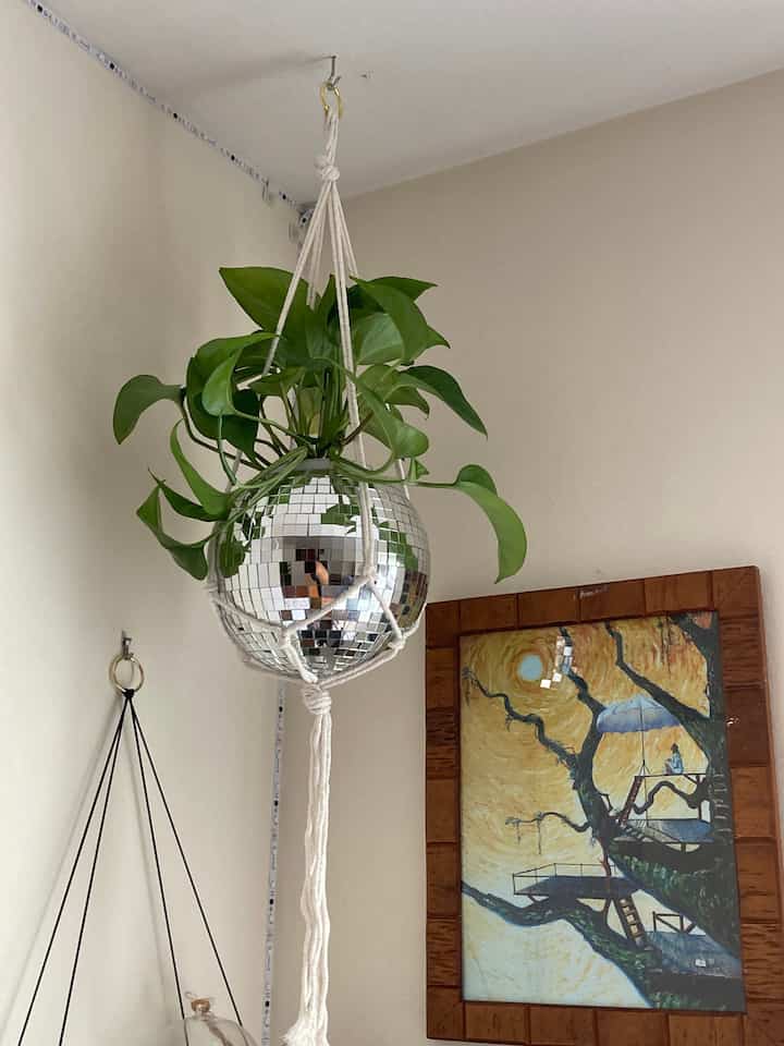 Adding a touch of whimsy with this mirrorball hanging plant! 🌿✨ Mixing nature with shine for a fun vibe.
 #PlantLovers #HomeDecor #MacramePlantHanger #DiscoBallPlanter #BohoDecor