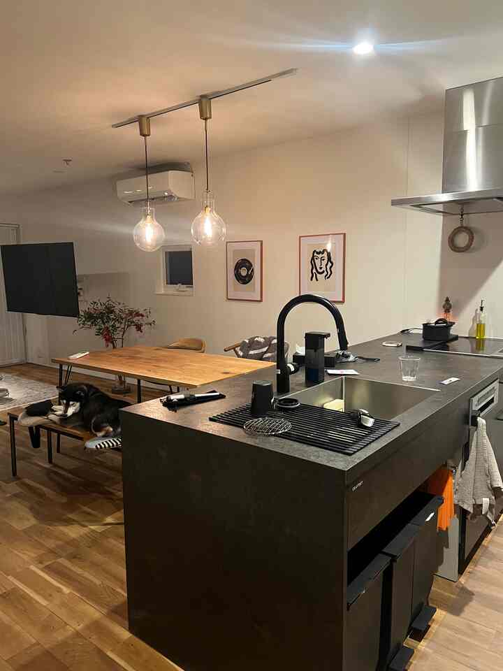 Modern kitchen and dining room featuring natural wood tone flooring and dining table, with a pet dog resting on bench in cozy atmosphere