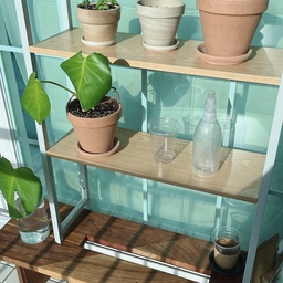 버리려던 스틸선반 늘어나는 친구들 햇살가득 받으라고 올려두니 제대로네요😆🌱
오전부터 해지기전까지 베란다정원💚
#오늘의가든 #식린이 #식집사 #식집사일상 #물꽂이 #몬스테라 #바질 #바질키우기 #홍콩야자 #분갈이세트 #토분 #이태리토분 #독일토분 #화분 #맞팔 #콘수프기록 #베란다매트 #베란다바닥 #베란다인테리어 #프로메이드 #스토니 #베란다꾸미기 #베란다활용 #베란다식물 #데크타일 #구축 #구축아파트 #구축인테리어 #내돈내산