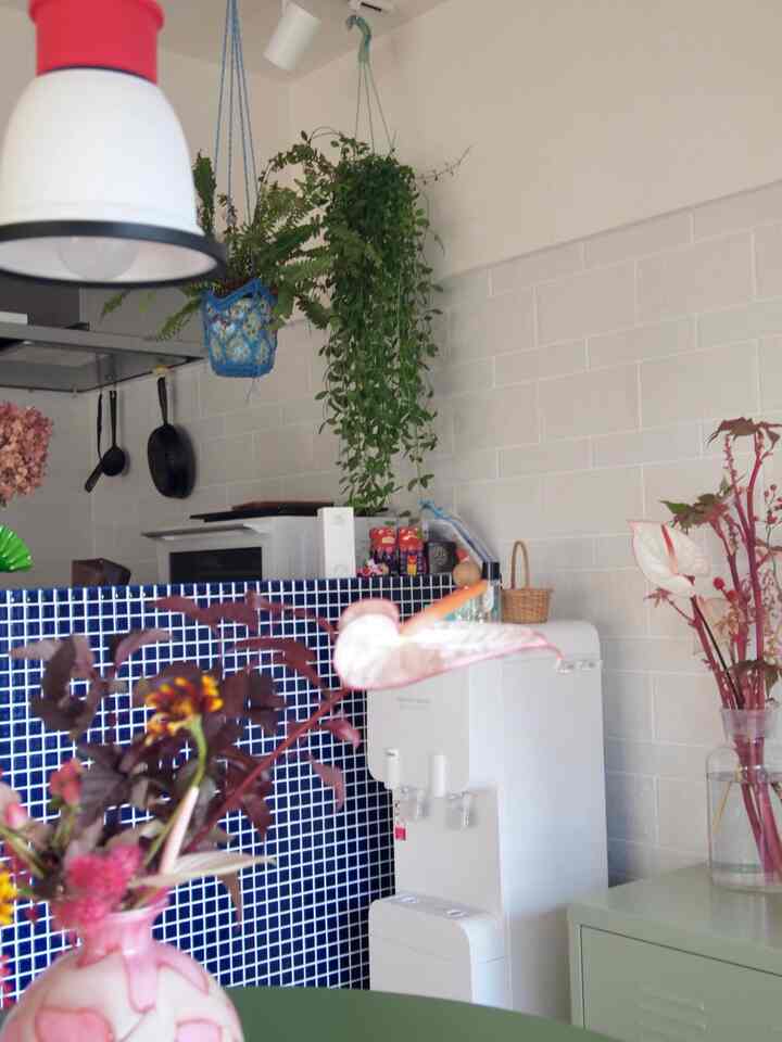 White and navy kitchen featuring various plants creating a natural and cozy atmosphere