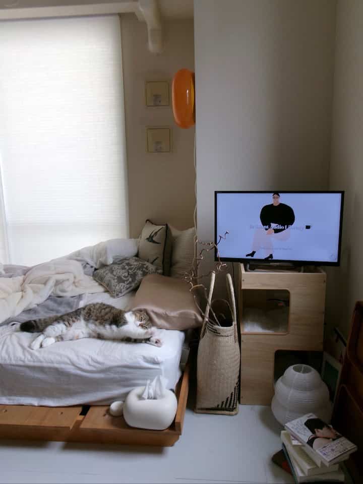 Natural color and wood-toned small bedroom featuring a bed with a relaxed cat lying on it