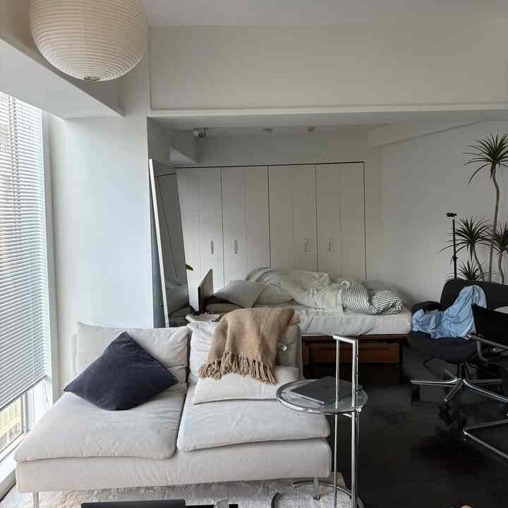Bright white and beige combined living and bedroom space featuring sofa, bed, and plants with modern style