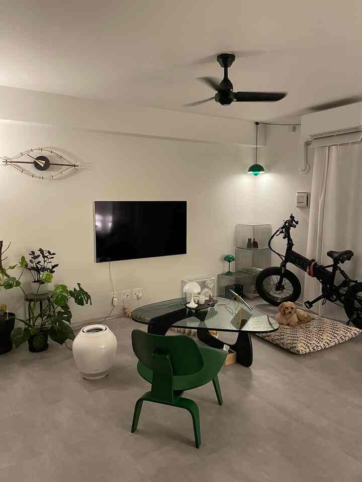 Modern living room with white walls and ceiling, featuring a central green chair, glass coffee table, and a small dog on a floor cushion to the right