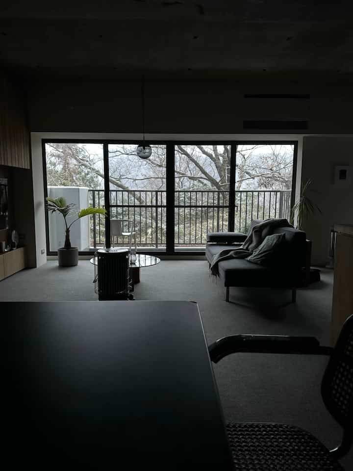 Dark-toned studio apartment living room featuring a sofa by the window and indoor plants, creating a modern atmosphere