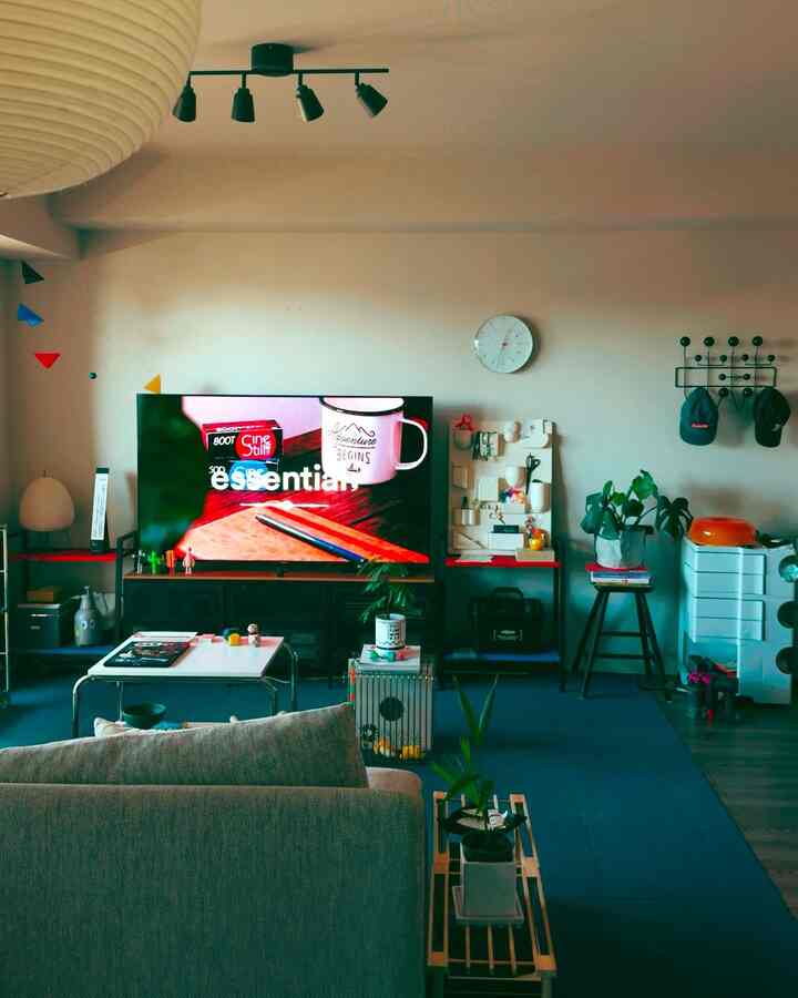 Natural color tone living room featuring central TV and sofa with cozy, relaxed atmosphere