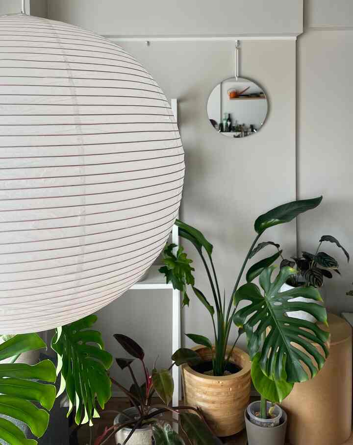 ちょっと珍しい画角で

#リノベーション #マンションリノベーション 
#howwelive #mylvngrm #apartmenttherapy
#interiordesign #interiordecor #interiorinspo
#interiorgreen #観葉植物 #muebe