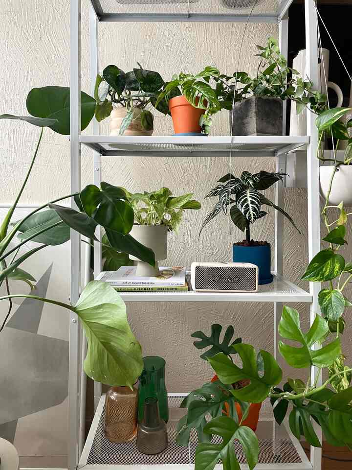 観葉植物インテリア
IKEAのシェルフに並べています
#1DK #2人暮らし #インテリア #観葉植物 #植物 #植物インテリア #植物棚 #グリーンインテリア #北欧インテリア #IKEA #イケア 