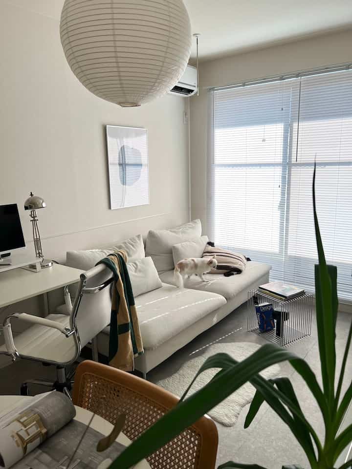 白を基調としたシンプルなリビング、ソファの上に犬がいて、大きなブラインドがある明るい空間