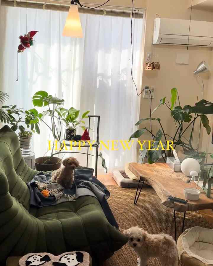 ナチュラルカラーのリビング、グリーンのソファと無垢材のコーヒーテーブル、2匹の犬と植物が配置された温かみのある空間