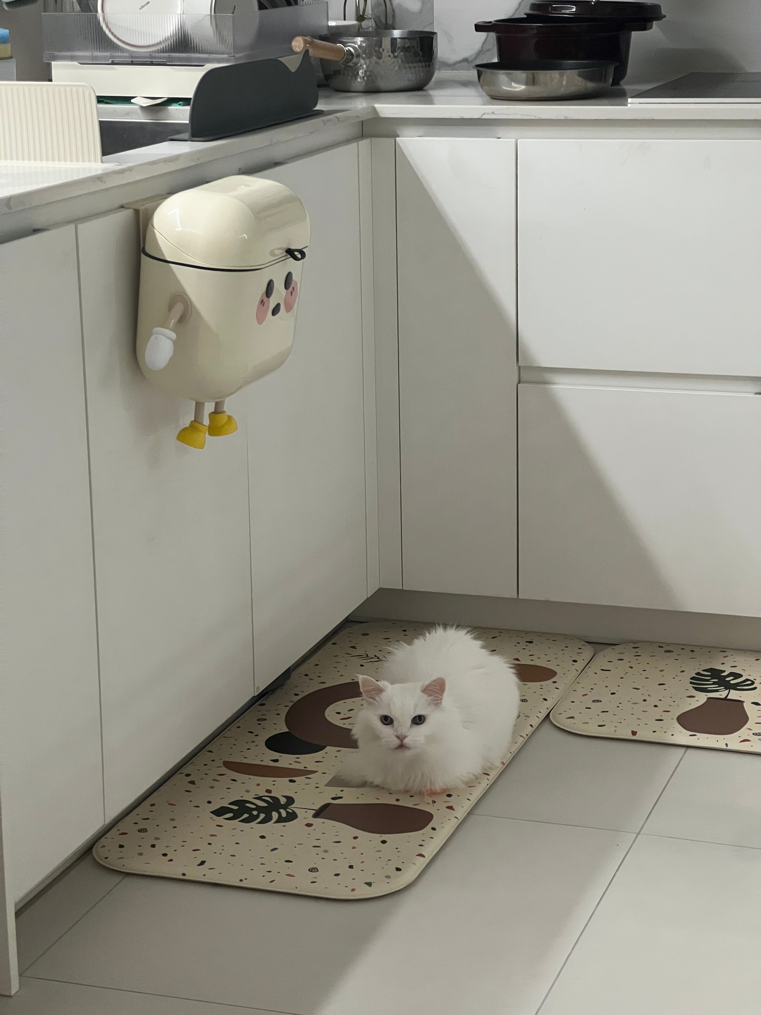 Easy Hang Kitchen Buddy Bin user photo