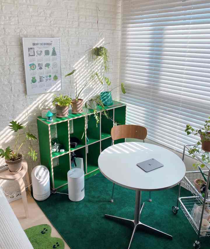 白い壁とブラインド、緑のカーペットと植物が配置されたワンルームの小さな部屋、清潔でモダンな雰囲気のインテリア