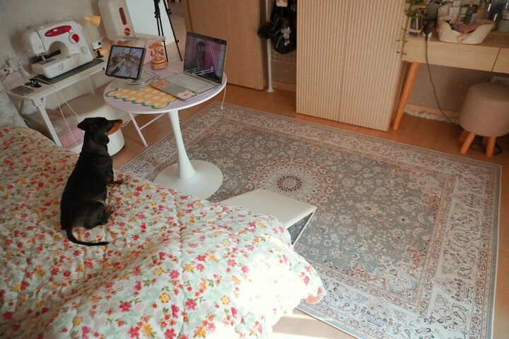 short form carousel card thumbnail