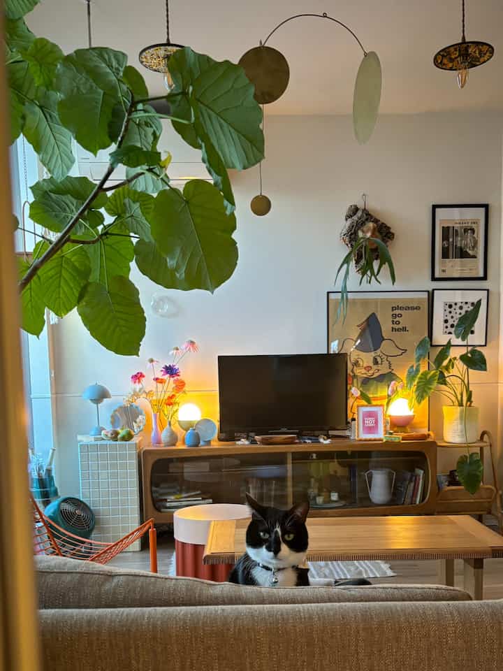 ナチュラルな色調のリビング、木製家具と観葉植物が配置された温かみのある雰囲気のインテリア、中央に猫が座っている