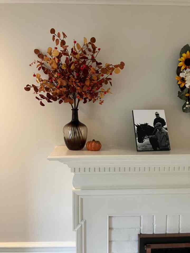 Simple yet stunning—this autumn vase brings the outside in! 🍁💐 
#VaseDecor #AutumnAmbience #VaseDecor #AutumnDecor #MinimalistDesign