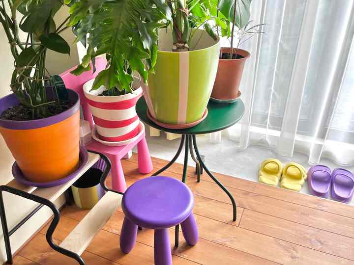 Bright living room with wood flooring, colorful plant pots, and children's stools near a window with sheer curtains