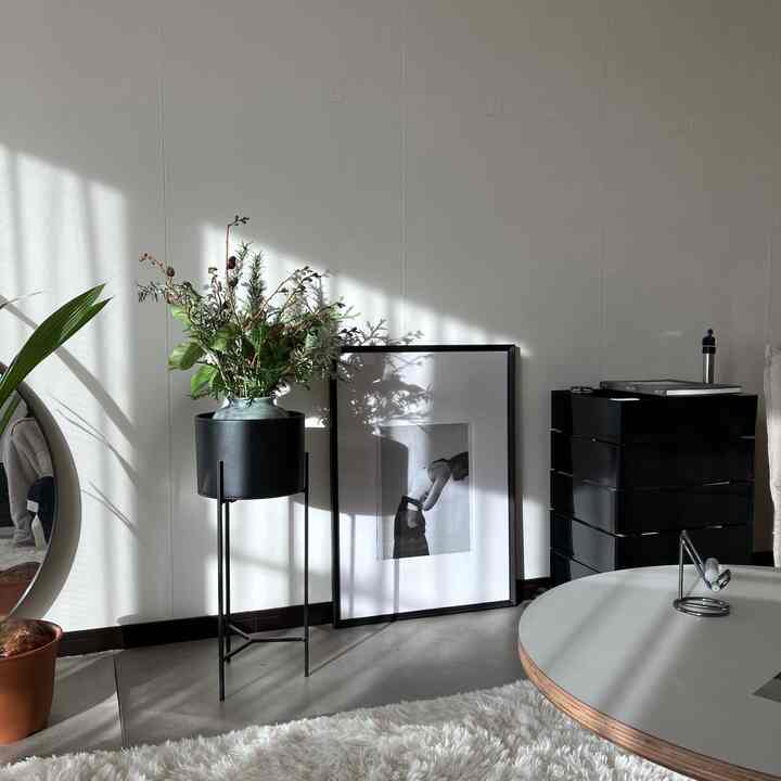 頂いたフレッシュブーケ🌲近くを通ると森の香りがして癒される。



#フレッシュブーケ　#ブーケ　#森林浴　#リビングルーム　#観葉植物 #ヤシの木　#シンプルインテリア　#無機質　#無機質インテリア　