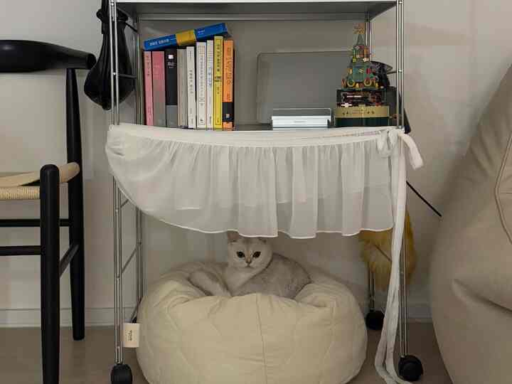 アイボリー調のリビングの一角、棚とクッションのビーズクッションの上に猫が座っている、シンプルでナチュラルな雰囲気のインテリア