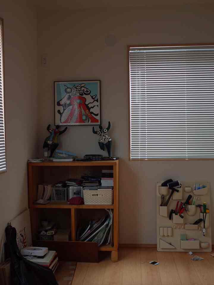 Entrance corner space with white walls, wood-tone floor, and a bookshelf filled with storage items