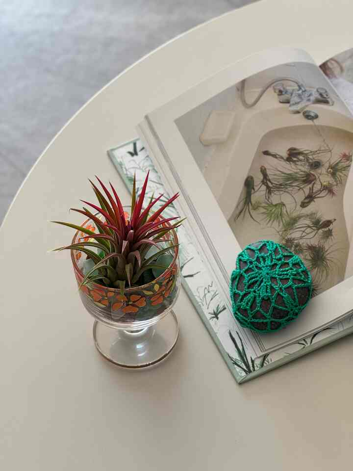 #イオナンサ
土に植えてくれる必要もなく、たまに水だけぬるぬるまぶせればいいアイアイ。僕を放っておき、あまり執着しないで、、するようなそのシックさに惚れました🤤
色感もどうですか💕
どこに置いてあげるか悩んでいる 小さなガラスカップに #赤い火山石 少し盛り付けて、去年の夏浜から与えてきた #シーグラス入れて完成してくれました。
夏を抱く我が家初 #イオナン社
#ハンギングプラント #アップサイクリング 