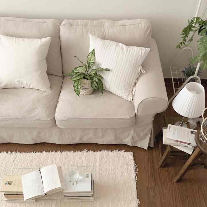 #Zona foto rumahku
Meja sofa terbuat dari buku dan kaca 🛋️‎ ‧₊˚ 

-

#Dekorasi Rumah #Ruang Tamu #Penataan Ruang Tamu #IKEA #Sofa #Hectorp #Interior Warna Hangat #Nada Hangat #Kamar #DekorasiKamar #Meja Sofa #Buku #Bacaan #RuangBaca #Matchback Selamat Datang #Matchback