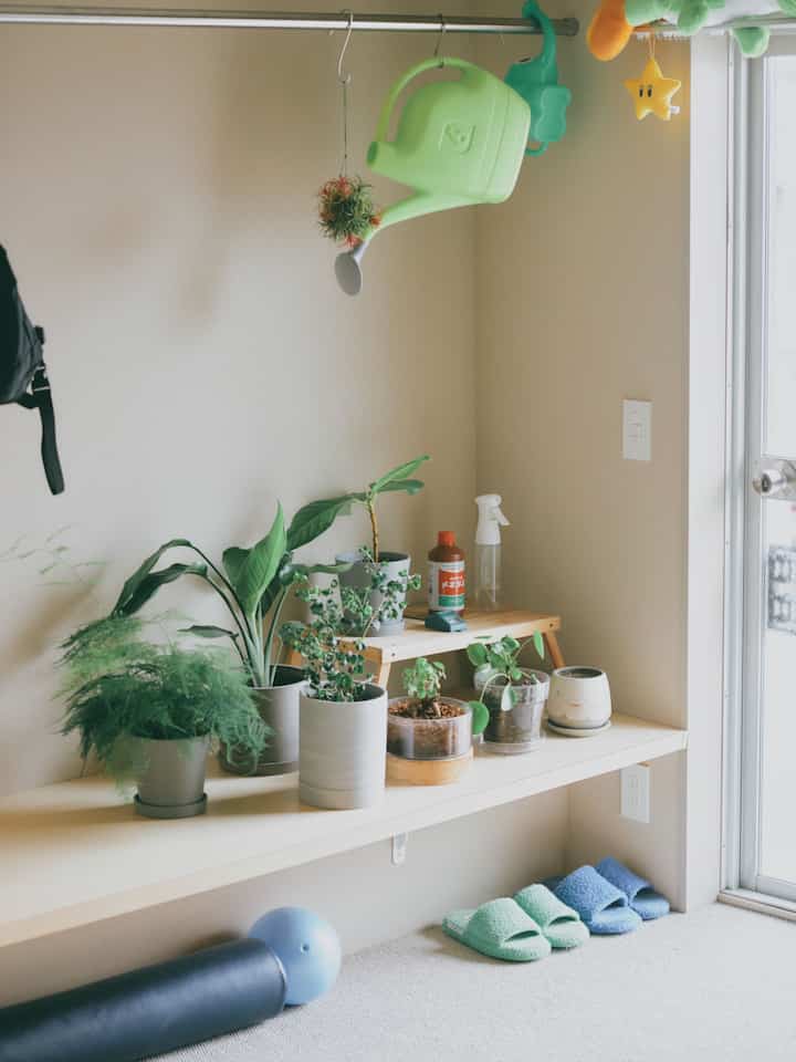 The leaves are in the sunniest spot 🍃
#Plant interior #緑のインテリア #ぬいぐるみ　#シンプルな暮らし