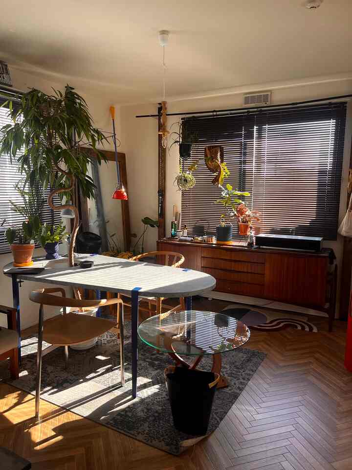 温かみのあるウッドトーンと植物が配置されたダイニング、オーバル型のテーブルとブラインドが印象的な空間