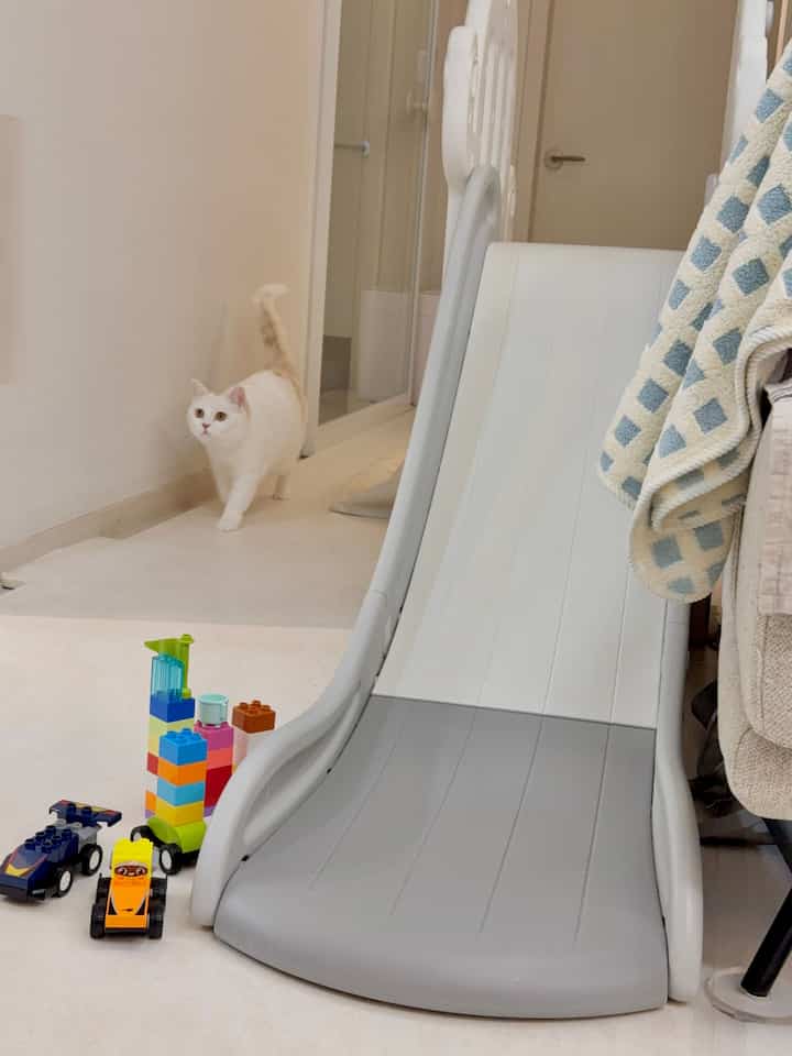 ＃かわいいテム最高です＃コンスープ記録 

子供の遊び空間に登場した特別なゲスト、猫の友達！ 🐾✨
子供のおもちゃの間を買うだけで通り過ぎる姿がどれほど愛らしいでしょう。

滑り台の下に集まっているブロックや車、そしてスムーズにつながる猫の歩みまで！
この小さな空間の中に暖かい話がいっぱい入っているようです。

子供と猫が一緒に似合って作っていく思い出が本当に期待できませんか？
こうして子供の空間にペットが一緒にいるというのは、
笑いと幸せが絶えない日常の風景を作ってくれる特別なプレゼントのようです。 🐱💛

おもちゃで満たされた空間も、猫の好奇心旺盛な目つきもとても暖かく大切に感じられますね。
今日も子供と猫が一緒に作るかわいい瞬間がここにいっぱいになりますように！ 🛝🌈

⭐️いいね、スクラップ、コメントはいつも感謝しています⭐️

＃遊びスペース＃猫と子供＃滑り台＃子供のおもちゃ＃ブロック遊び
＃車の遊び＃屋内インテリア＃ホームスター＃かわいい猫
＃子供とペットの動物＃子育て日常＃育児アイテム＃家の装飾＃感性
＃遊び場を飾る＃愛らしい空間＃ペットの墓＃子供と一緒に
＃感性インテリア＃日常記録 