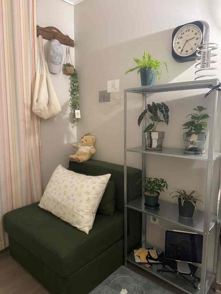 ナチュラルカラーの小さな寝室、緑のソファと金属製の棚に植物が置かれた雰囲気のあるインテリア
