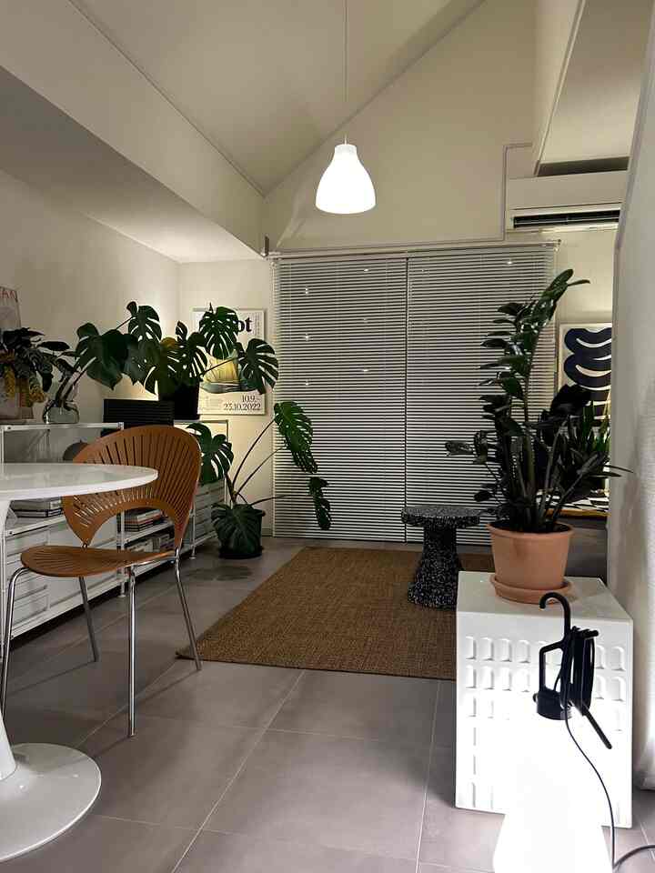 White and natural toned living and dining room featuring large plants and modern furniture