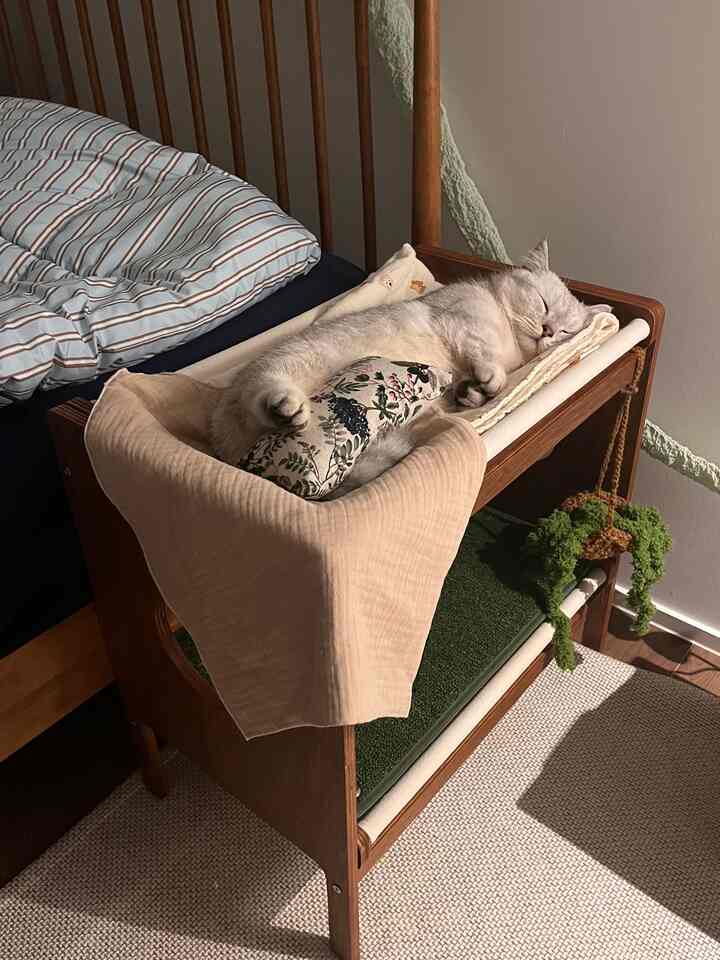 木目調とベージュ色が調和した寝室に、花柄クッションの上でくつろいで眠る猫がいる雰囲気のあるインテリア