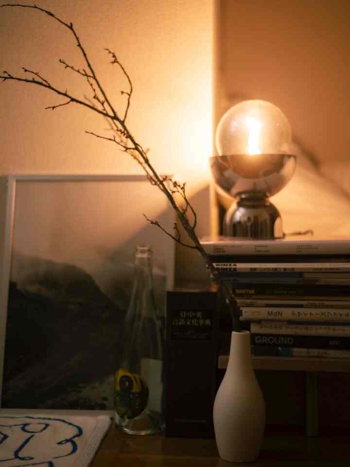 Pemandangan malam 🌃 Ver. diambil dengan kamera 😴
Menunggu bunga plum putih mekar

#Ruang untuk tinggal sendiri #一人暮らし #livingalone #寝室 #寝室小物 #cozy #cozyroom #植物 #植物インテリア {8 #Tanaman Kehidupan tertentu}