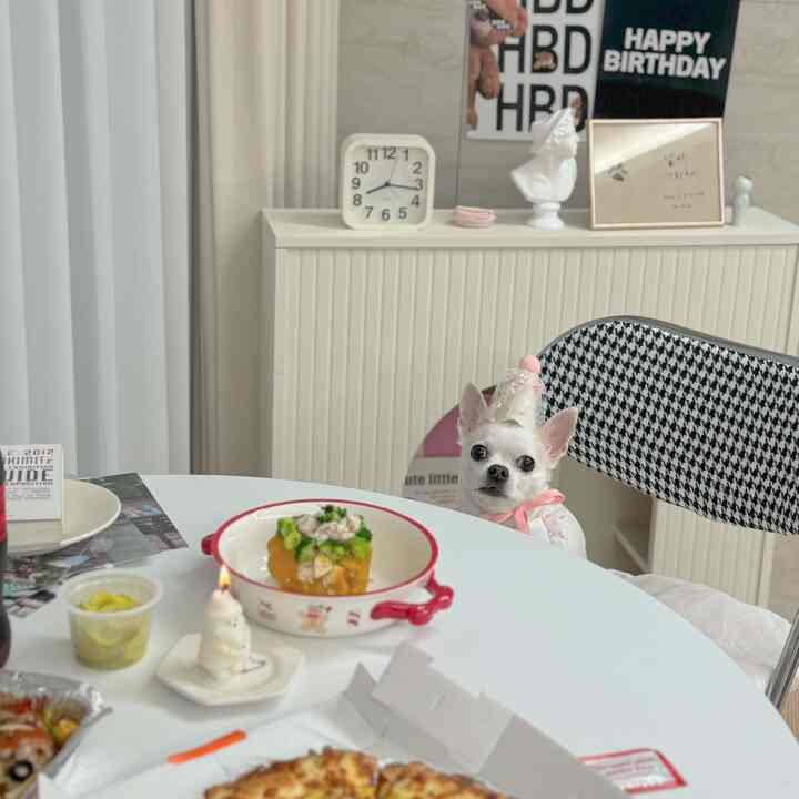 かわいい私たちの月がお誕生日おめでとう🎂

＃子犬誕生日パーティー＃子犬誕生日小道具 
#HBD #ホームパーティー