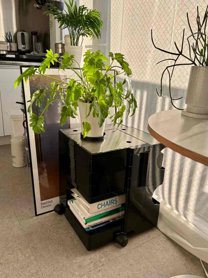 The Bobby Wagon has a lot of storage space and I love it.
I think it would be cute if you could use it even when it's empty lol

#One room　#一人暮らし　#ボビーワゴン　#ワゴン