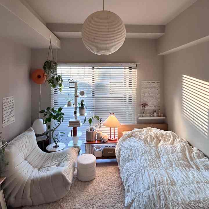 Ivory and natural wood tone 8畳 1K single room featuring plants and warm lighting creating cozy atmosphere