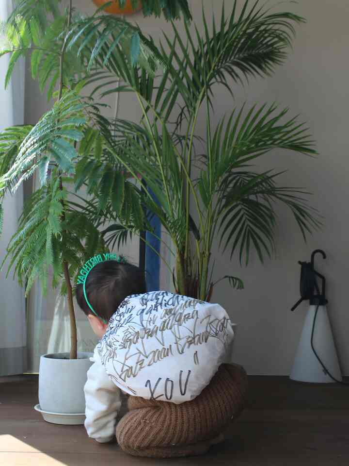 息子の誕生日の１枚。
一升パンはBackerei cuisson!で注文しました。

奥のポスターはWant Antiqueで購入したヴィンテージポスター。
色味が素敵で一目惚れして購入しました。
大阪でおすすめの家具・雑貨屋さんです。

#リビング #ヴィンテージ #ヴィンテージポスター #ポスター #ポスターインテリア #観葉植物 #アレカヤシ #エバーフレッシュ #子供 #赤ちゃん #照明 