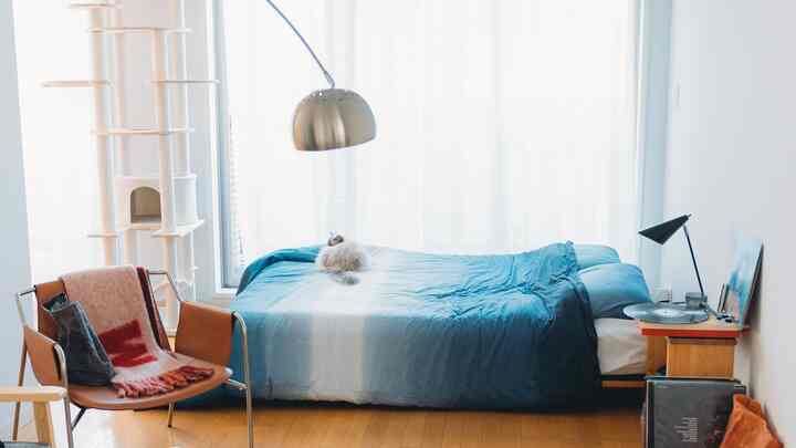 Bright natural-tone bedroom featuring a bed with blue bedding, cat tower, floor lamp, and a cozy single household setting