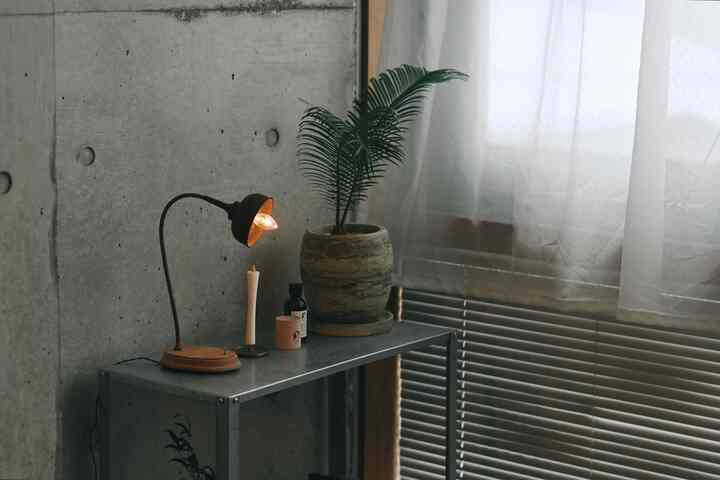 Natural green plant and white sheer curtain in an industrial-style concrete wall corner with minimal storage shelf