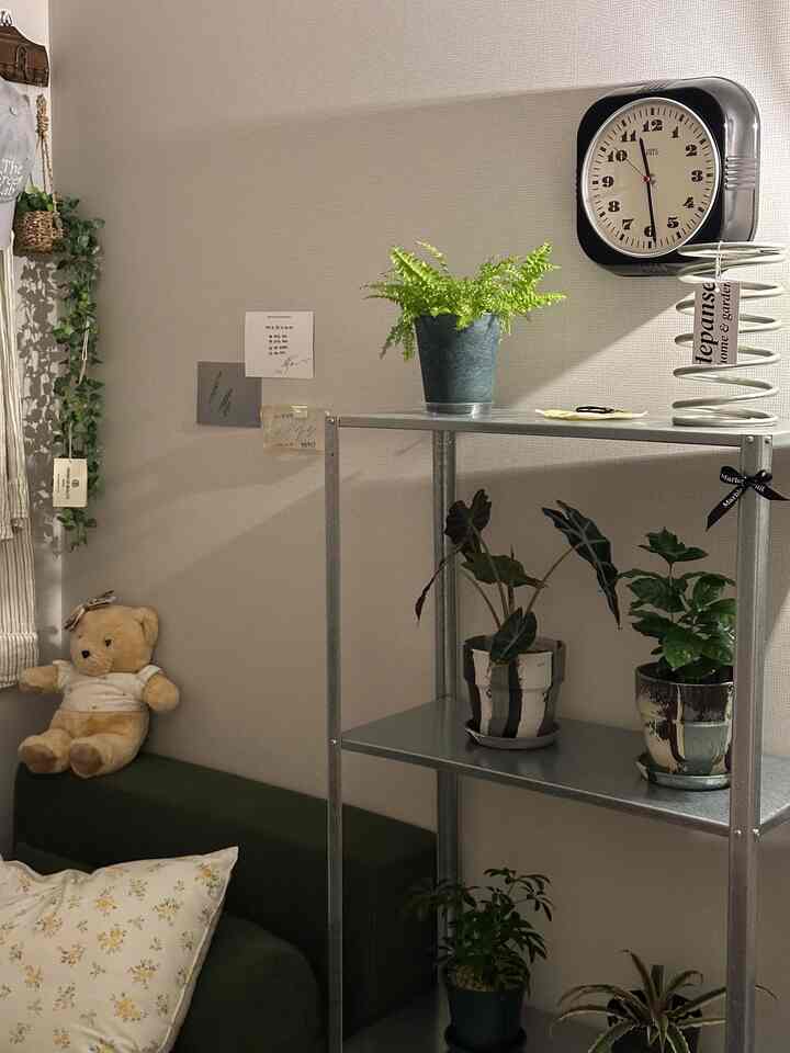 ナチュラルな色調のリビング、緑の植物と金属製の棚、レトロな時計が配置された雰囲気のあるインテリア