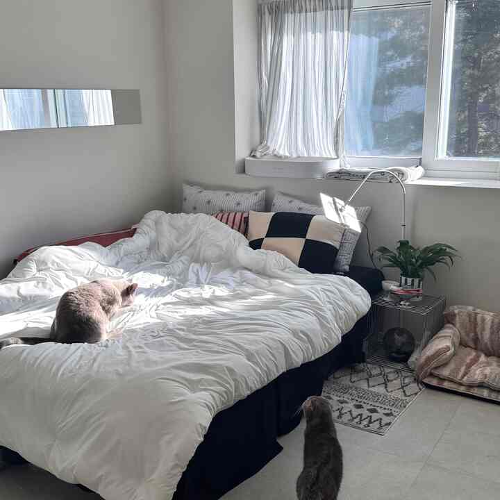 白とベージュの色調の寝室、白い寝具とナイトテーブル、猫がいる自然で落ち着いた雰囲気のインテリア