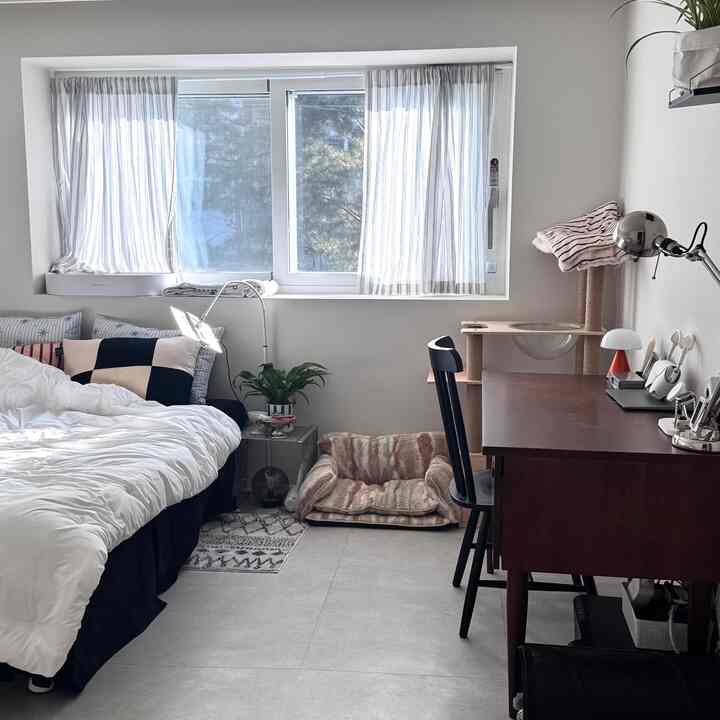 明るいホワイトトーンのカーテンとベッドがあるワンルーム風寝室、机と猫用家具が配置された居心地の良い空間