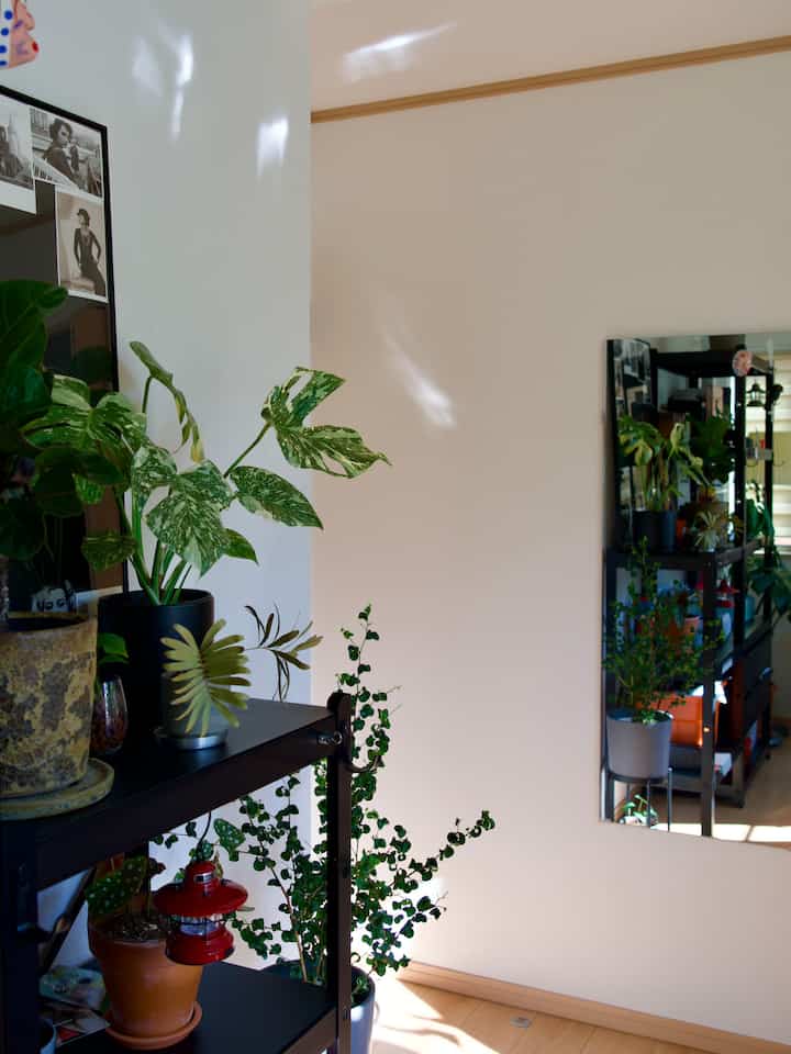 It's a beautiful day today☀️
The light is dancing💃

#Workroom #壁掛けミラー #sunshine #植物インテリア #ロフト付き部屋