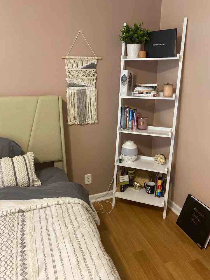 Stylish and functional: my white ladder shelf is the perfect way to stay organized! 🌿✨ #HomeDecor #OrganizationGoals
