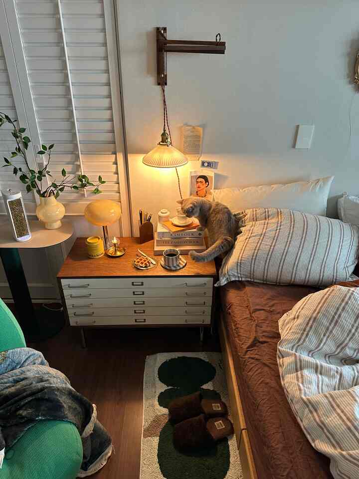 暖かいブラウンとベージュの色調の居心地の良い寝室、猫と壁灯が配置されたインテリア