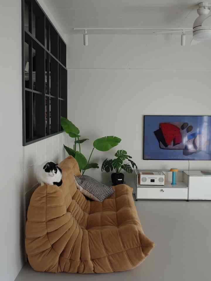 Modern living room with white walls and floor, camel brown sofa with a pet cat, and decorative plants