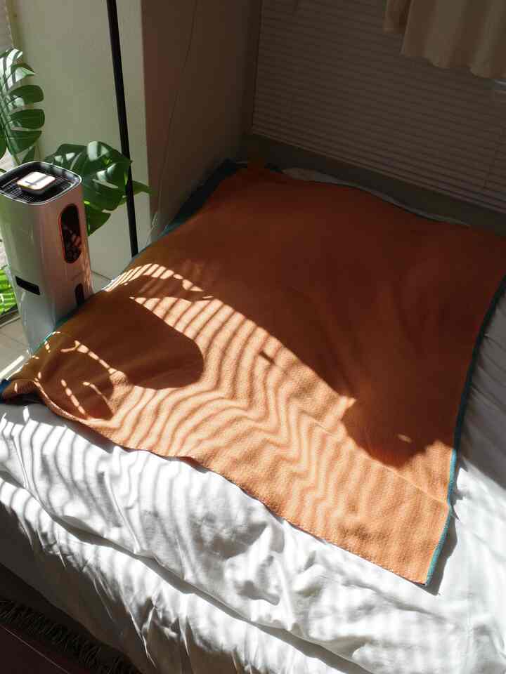 #torahaus #ワンルーム #一人暮らし部屋 #インテリア #interiordesign #grのある生活 #TESAMMANS