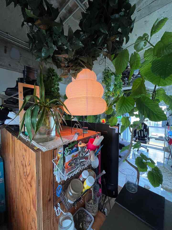 さぶあかです。ここは我が家で最もごちゃってるキッチンとLDKの狭間です。

植物関係の作業台にしたり、コーヒーをしばいたり、日光浴したりしてます。

シルバーのボードはデスクのエクステンション用なのですが使うことがなかったので取り外して再利用してます。

#ワンルーム #賃貸インテリア #観葉植物 #リノベーション #今日はそんなにIKEAない 