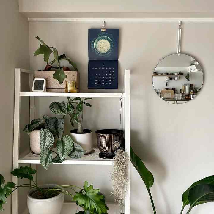 ・先日軽井沢でウスネオイデスというエアプランツを仕入れてきました🫛
・先日友人から富良野の作家さんの毎年恒例野菜カレンダーをいただきました🥗

#リノベーション #マンションリノベーション 
#howwelive #mylvngrm #apartmenttherapy
#interiordesign #interiordecor #interiorinspo
#interiorgreen #観葉植物 #muebe